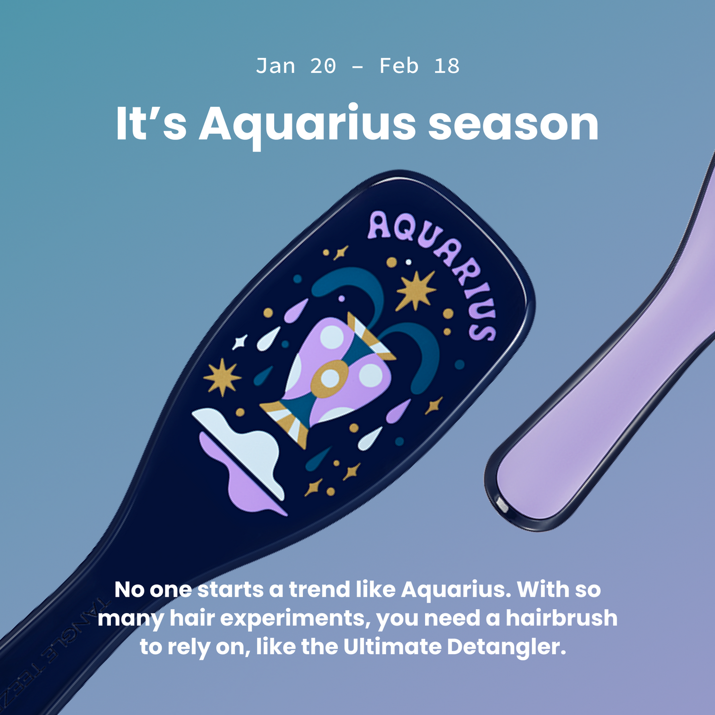 The Ultimate Detangler Zodiac D5