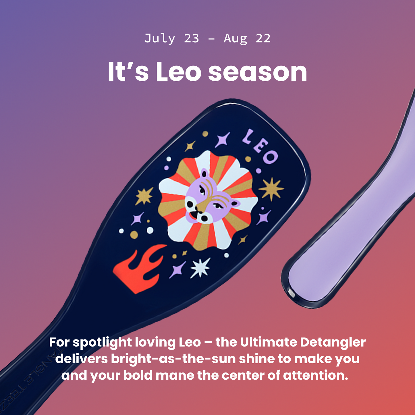 The Ultimate Detangler Zodiac D5