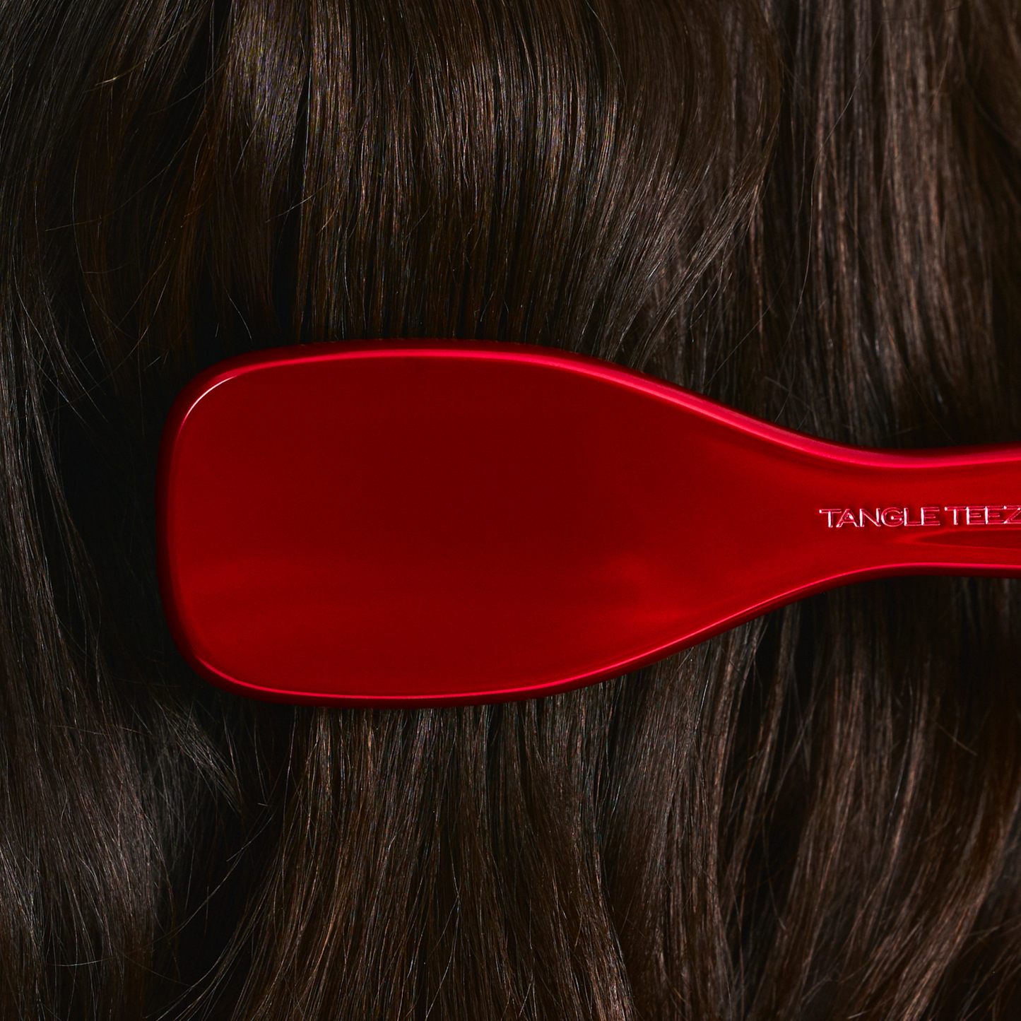The Devil Wears Prada The Ultimate Detangler H1