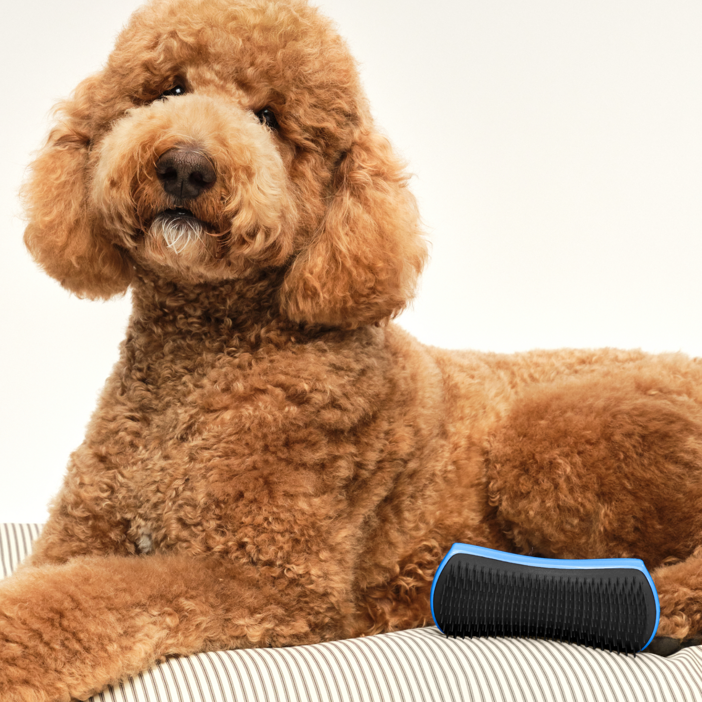 Detangling Dog Grooming Brush A3