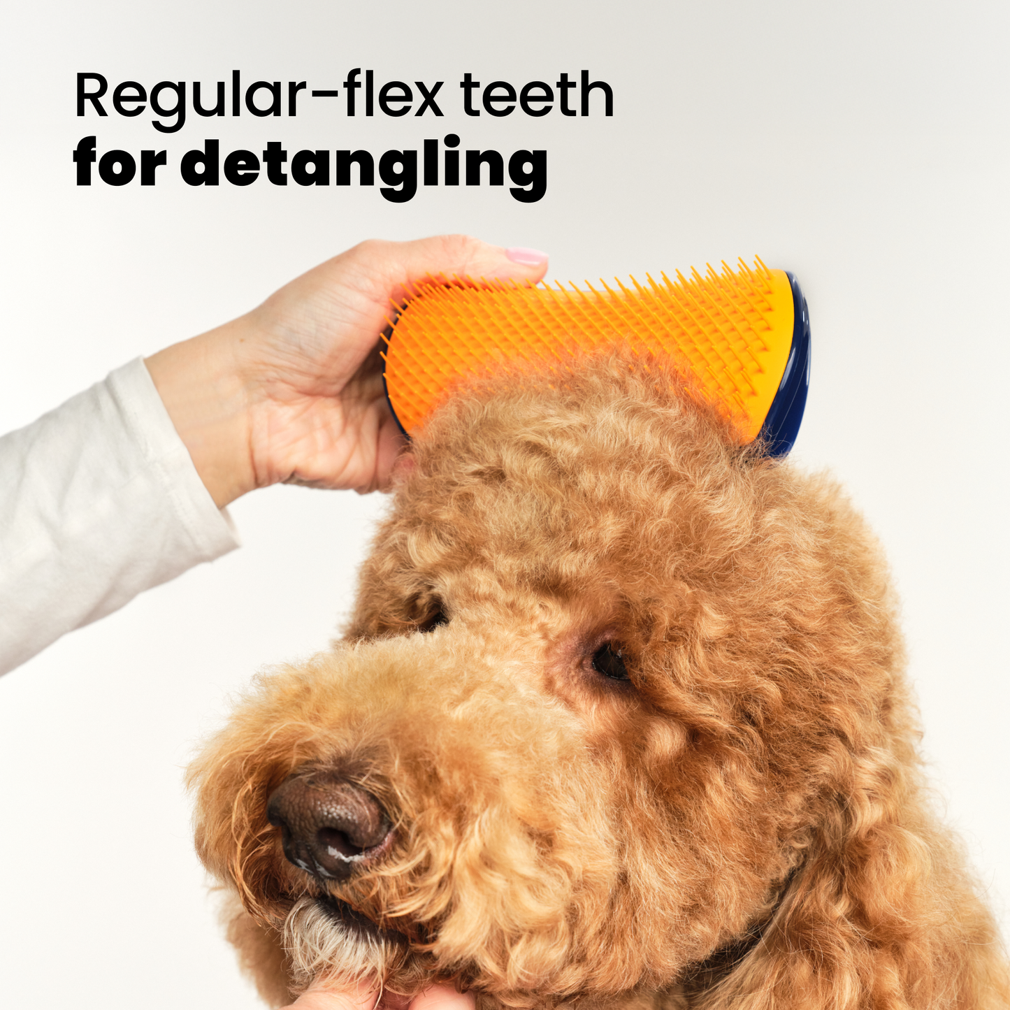 Detangling Dog Grooming Brush A3