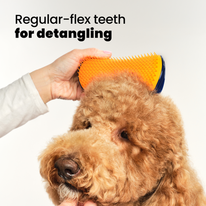 Detangling Dog Grooming Brush A3