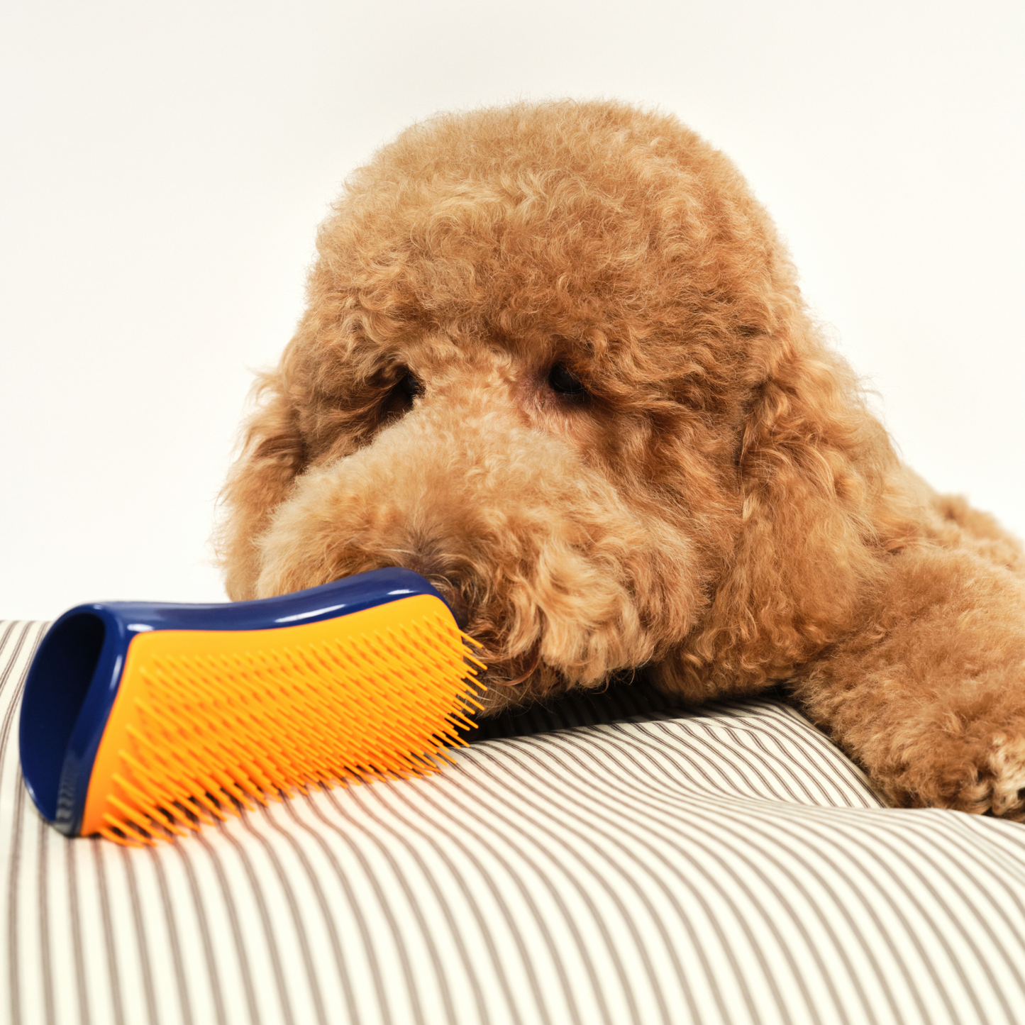 Detangling Dog Grooming Brush A3