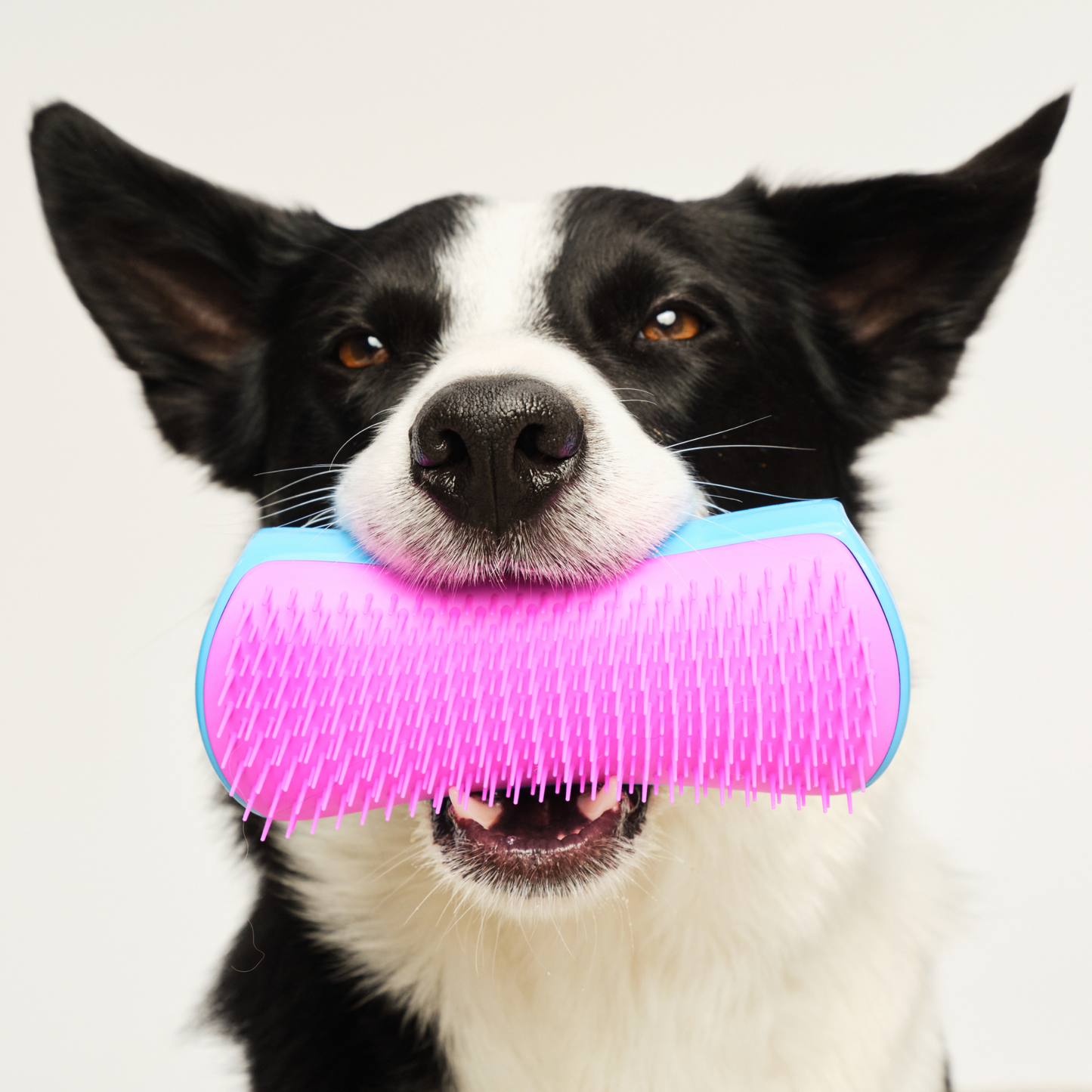 De-shedding Dog Grooming Brush D1