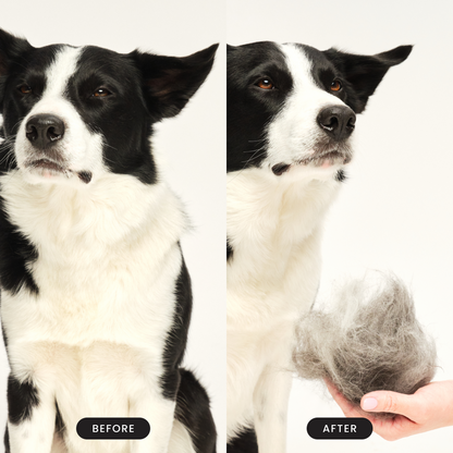 De-shedding Dog Grooming Brush D1