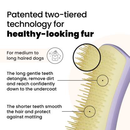 Detangling Dog Grooming Brush A3