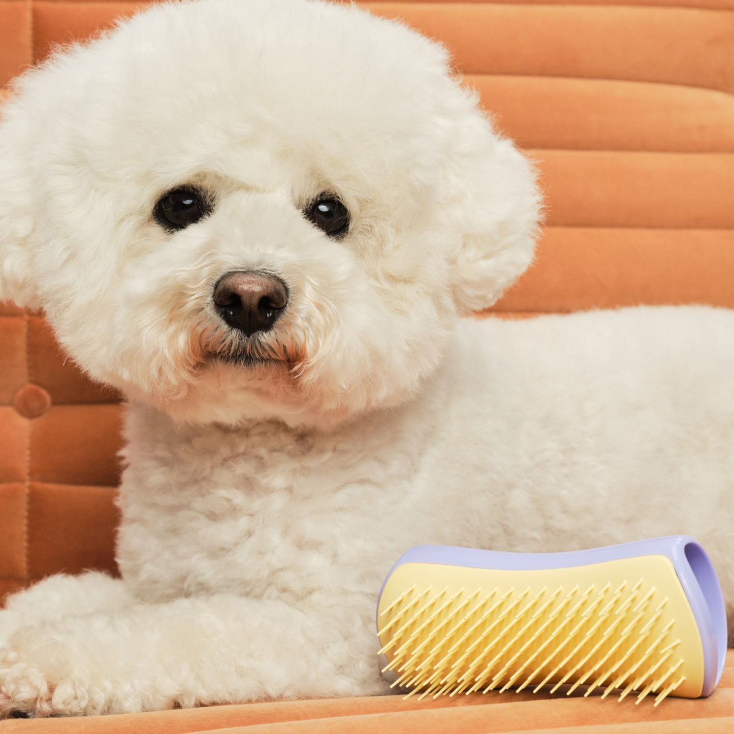 Detangling Dog Grooming Brush A3