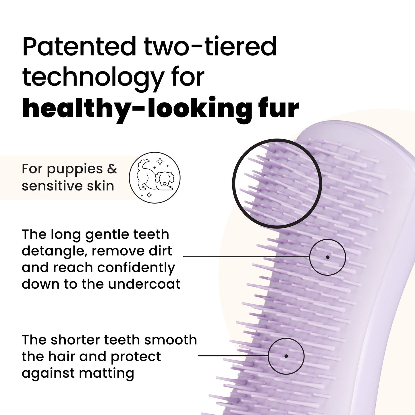 Puppy Brush A6