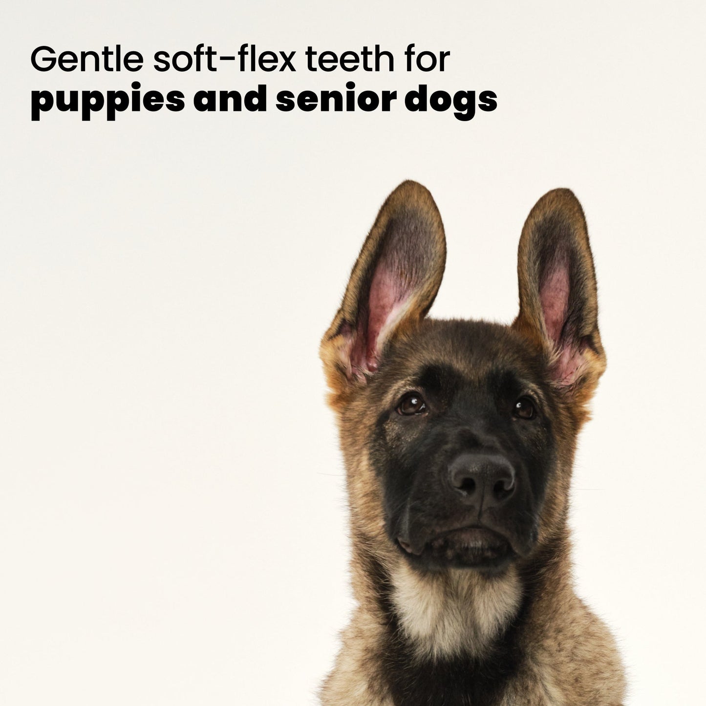 Puppy Brush A6