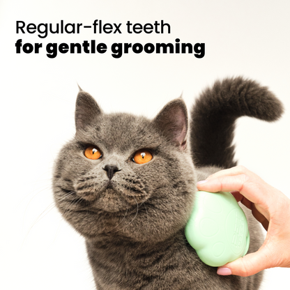 Cat Grooming Brush D5