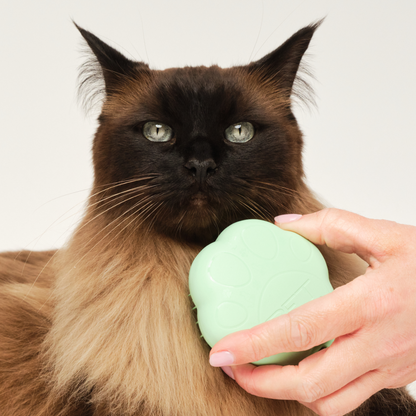 Cat Grooming Brush D5