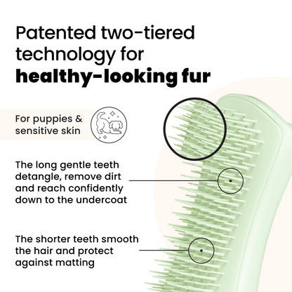 Puppy Brush A6