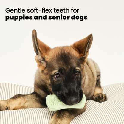 Puppy Brush A6