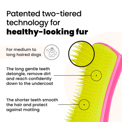 Detangling Dog Grooming Brush A3