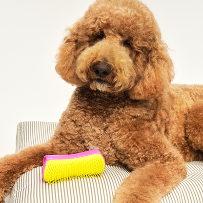 Detangling Dog Grooming Brush A3
