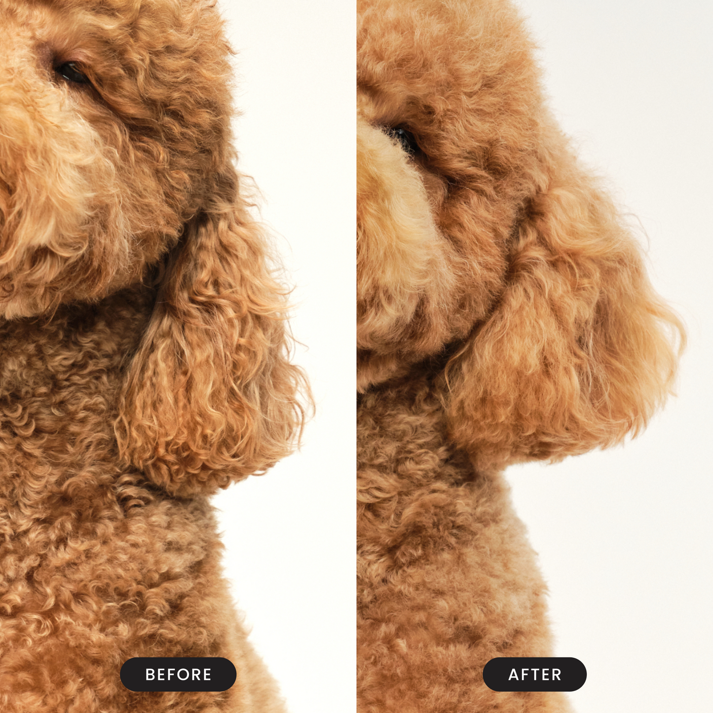 Detangling Dog Grooming Brush A3