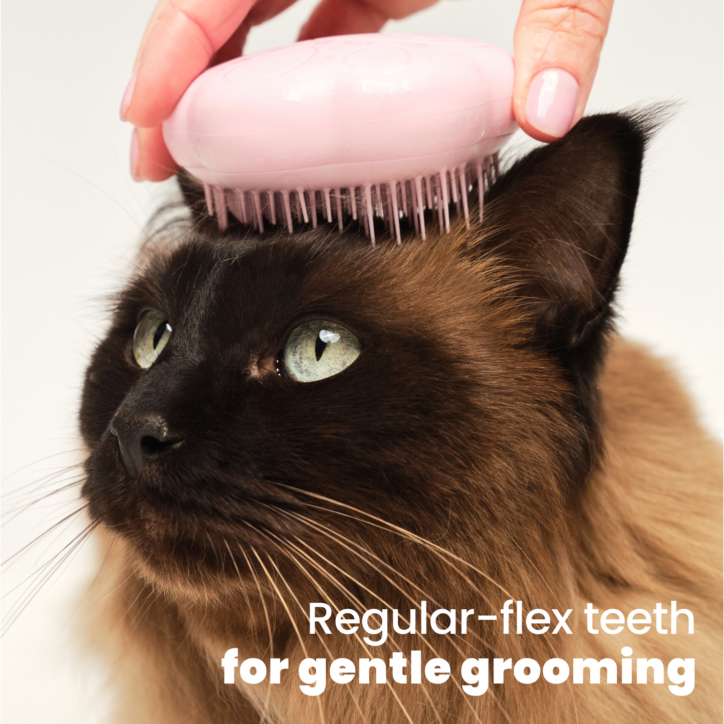 Cat Grooming Brush D5