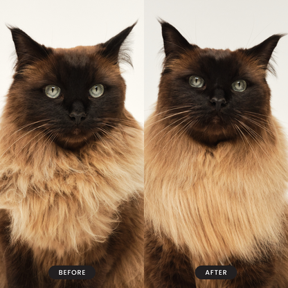 Cat Grooming Brush D5
