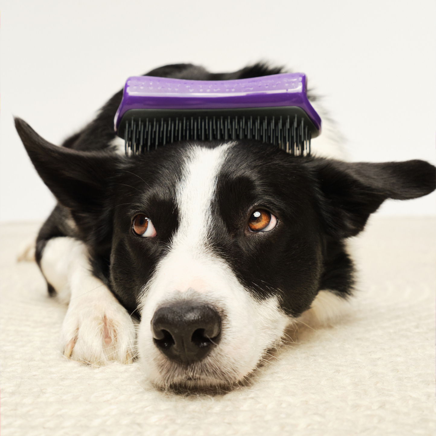 De-shedding Dog Grooming Brush D1