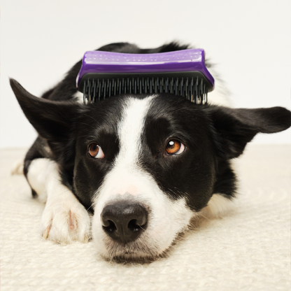 De-shedding Dog Grooming Brush D1