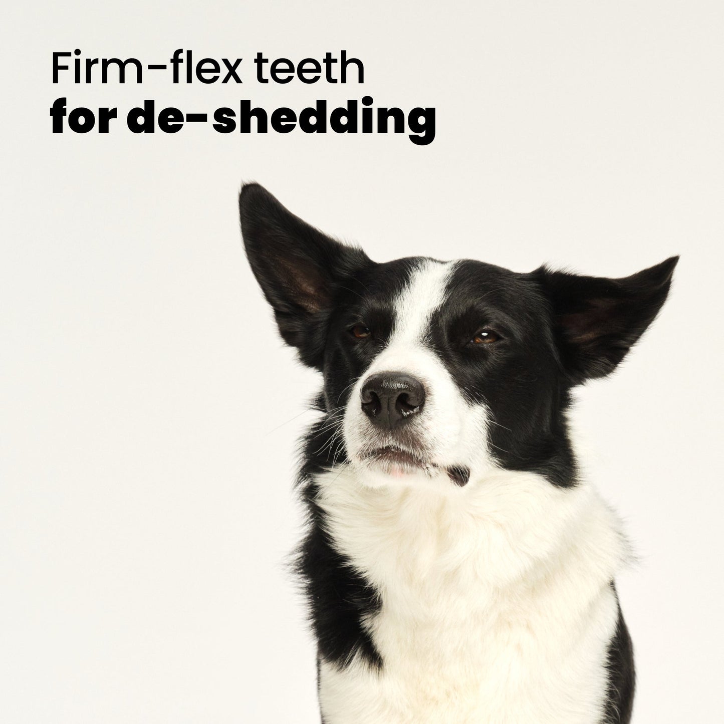 De-shedding Dog Grooming Brush D1